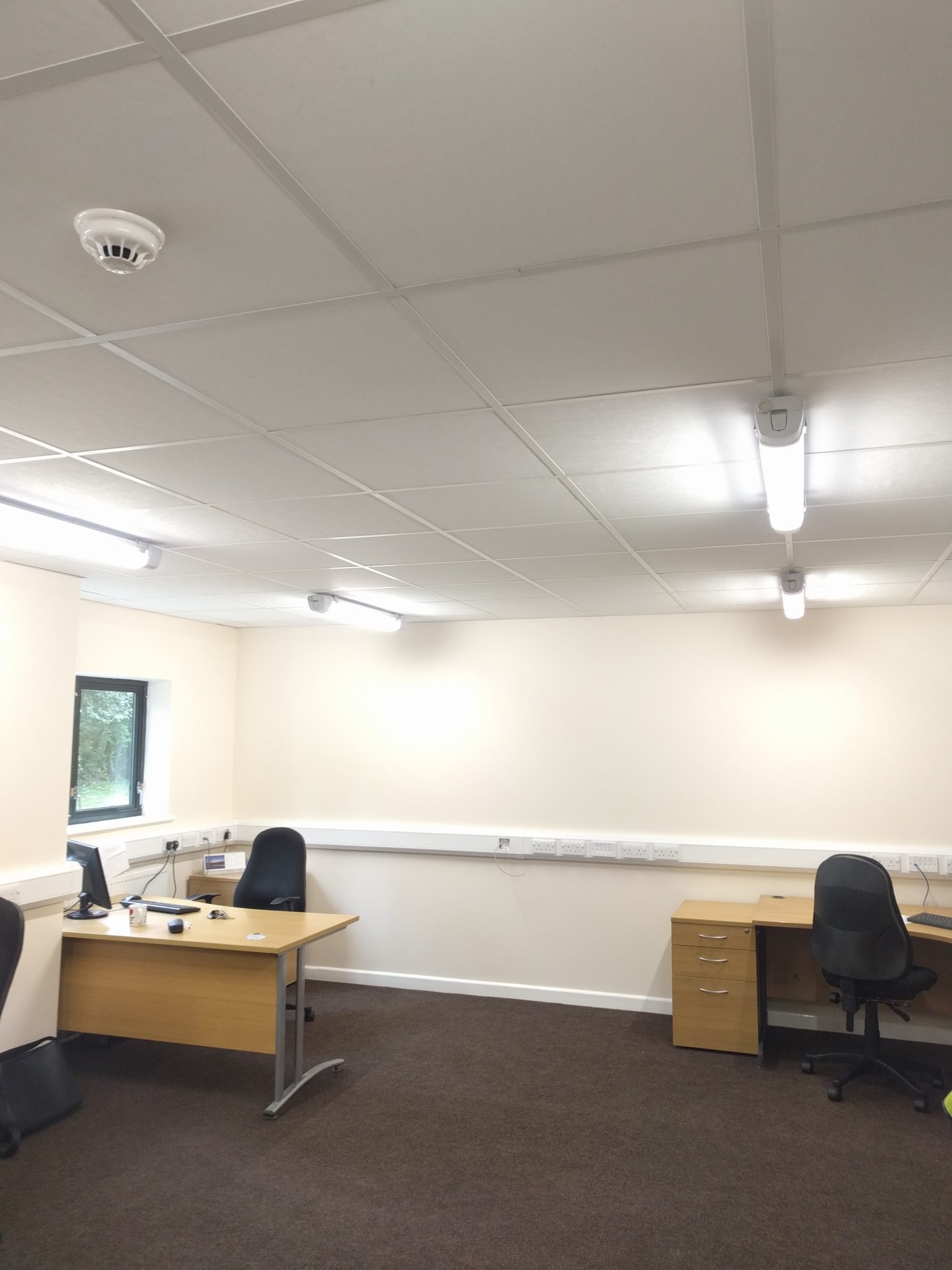 Suspended Ceilings Office School Commercial Ceiling