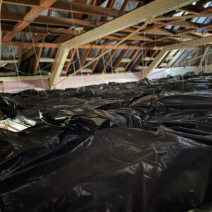 insulation pads over suspended ceiling Hereford